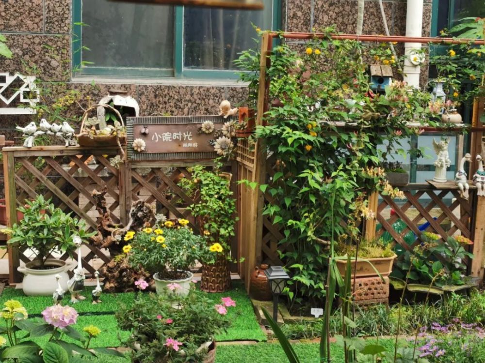 太赞了小区绿化带变身景观小院颜值up