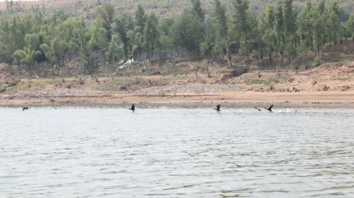 王圪堵水库的藏蓝守护,守护大家的水源地