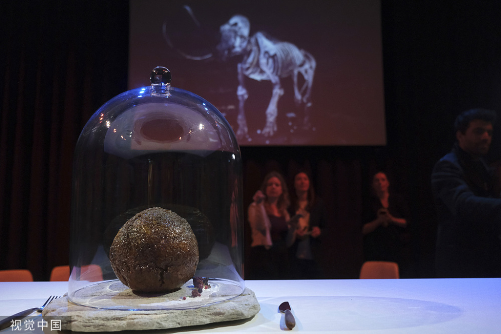 英媒含猛犸象dna培育制成的肉丸在阿姆斯特丹亮相