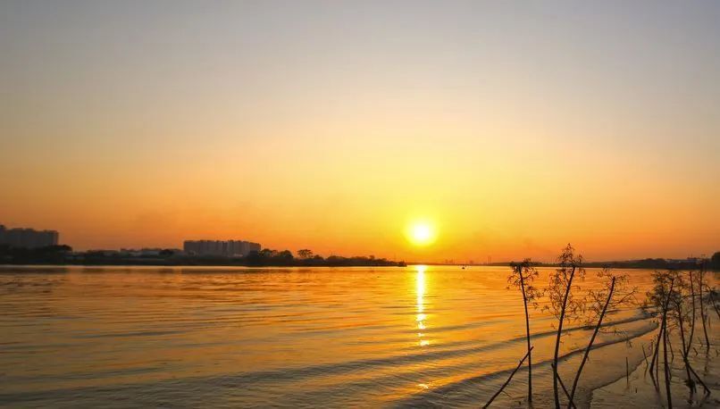 晴朗升温来一波 心情舒爽乐呵呵