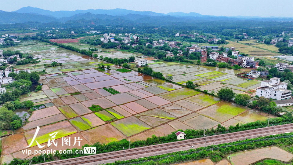 2024年4月16日,江西赣州蓉江新区潭口镇石禾村一带,蓄足水后的高标准
