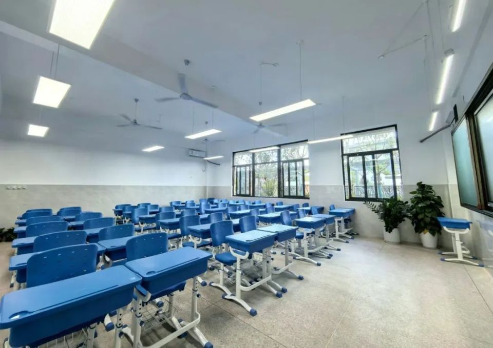 移步教室,只见课桌椅整整齐齐摆放,室内还成排摆放了绿萝.