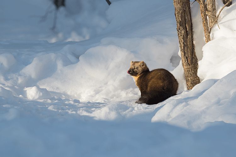 登上《人民日报》央视,和演员胡歌是同事