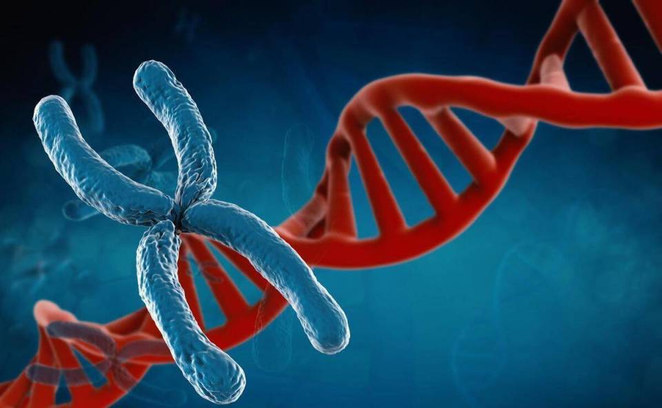 3种病不会传染,但很可能遗传!若有亲属得过,自己也该去检查_腾讯新闻