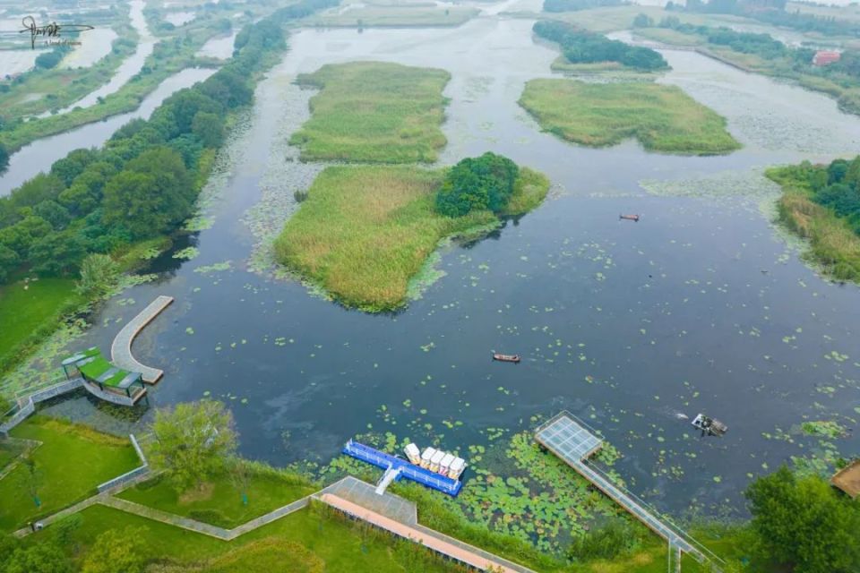靠近溧阳的长荡湖里有个免费景点,是国家级湿地公园,风光宜人_腾讯