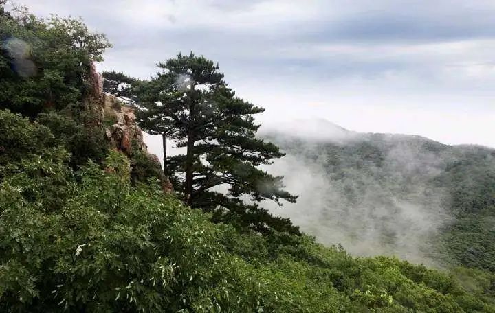 何处寻青绿?西丰县"两山"解锁生态游新模式