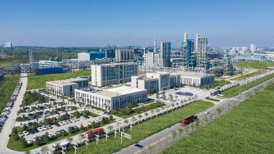 汇聚新质生产力培育新动能 青岛董家口经济区加快绿色低碳高质量发展