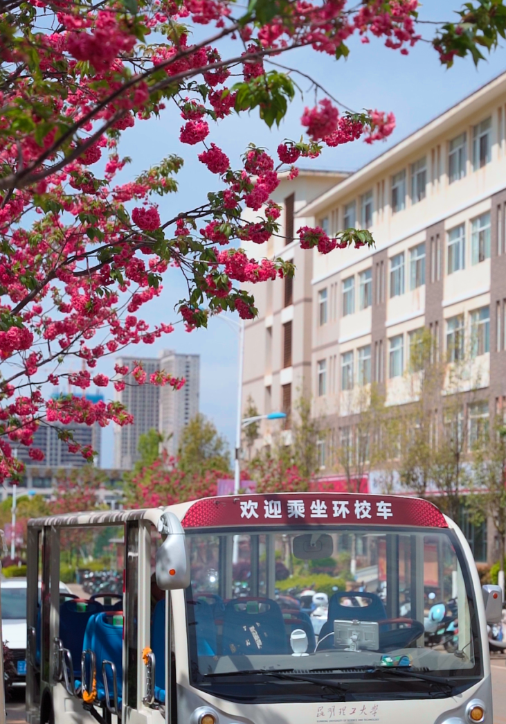 阅"呈"记 | 花开呈贡 春日校园——昆明理工大学