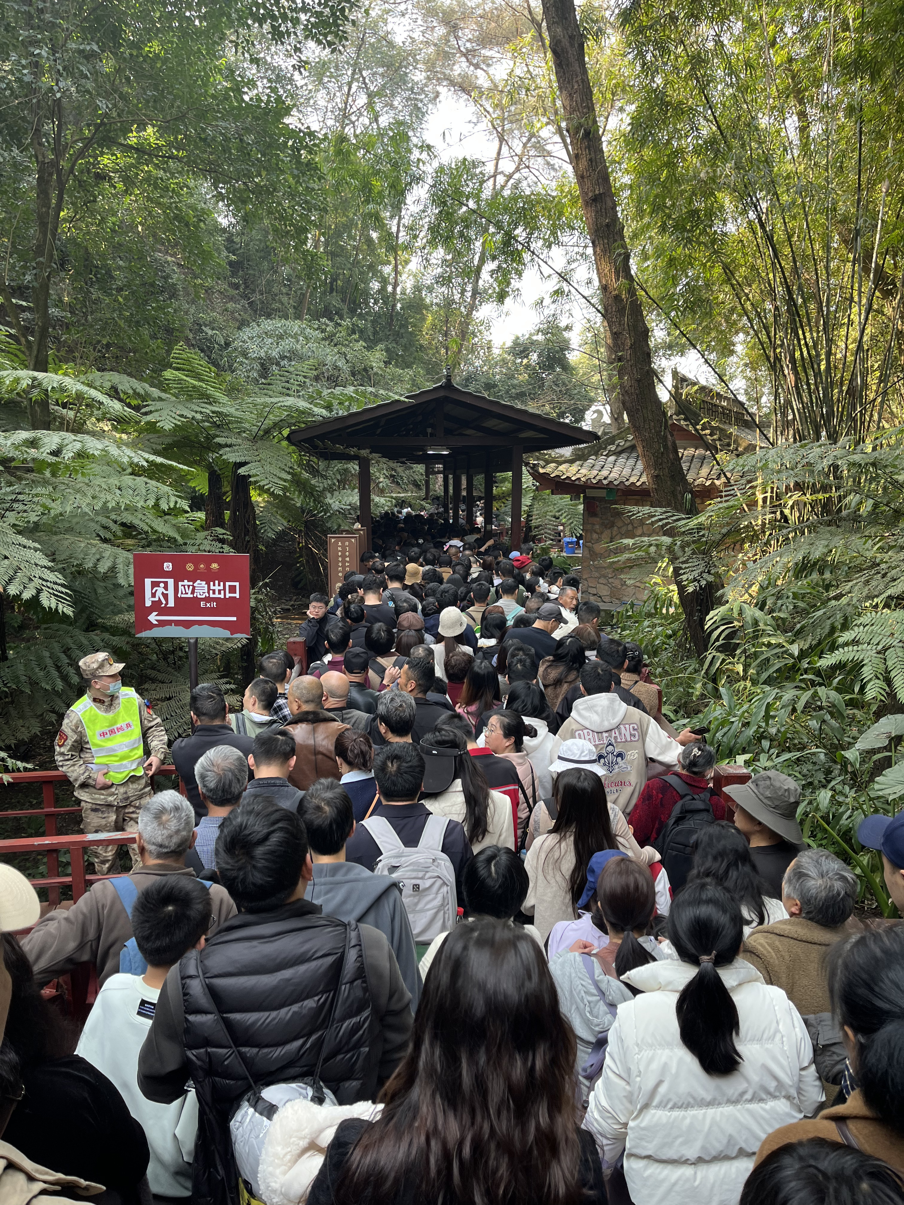 大佛排队中-当前进度50%