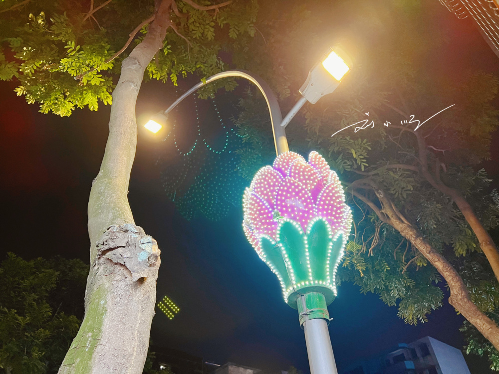 佛山市这个低调的城区,路灯上都开满了"荷花",游客直呼好浪漫_腾讯新