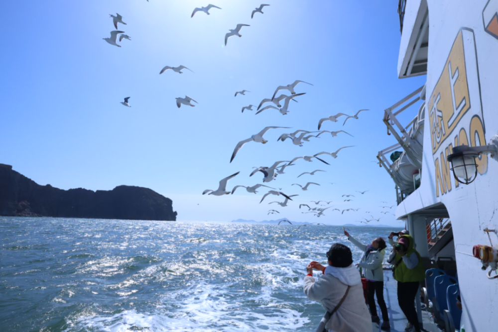 暑假新玩法|开船!来烟台体验浪尖的清凉