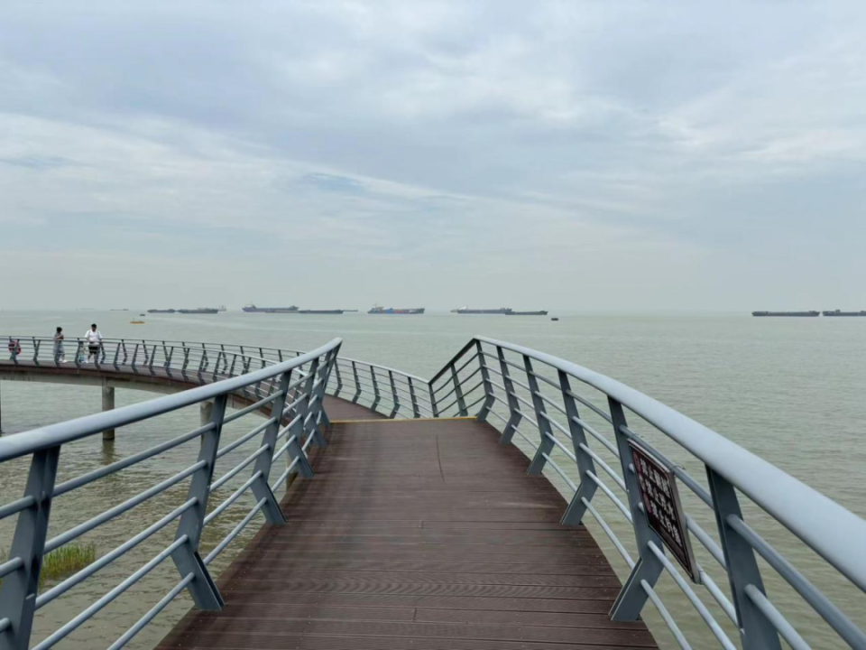 一江清水万重山丨江苏南通"向海图强" 产业集聚锻造"蓝色引擎"