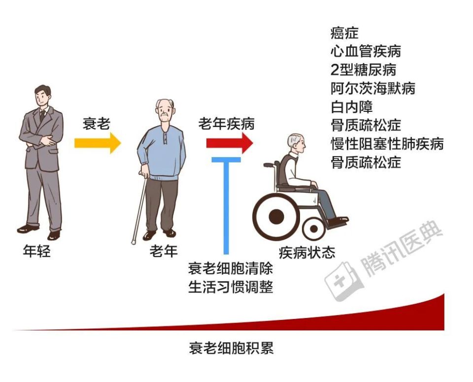 从25岁到50岁！这份最全《抗衰老指南》，每个女生都要看_腾讯新闻