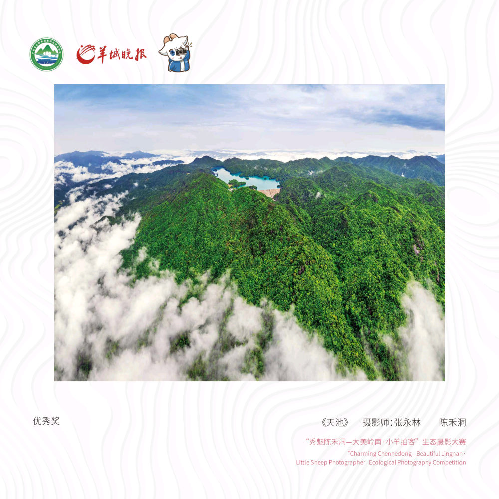 林海利总策划|孙爱群 孙璇 吴江 李艳文 刘佳宁 孙晶策划,统筹|张爱丽