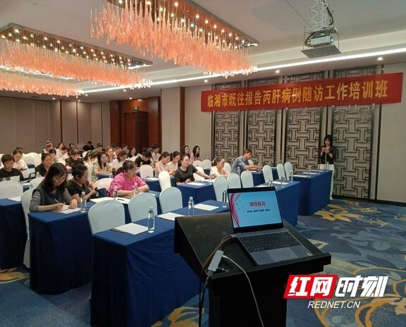 临湘市举办既往丙肝病例随访工作培训会