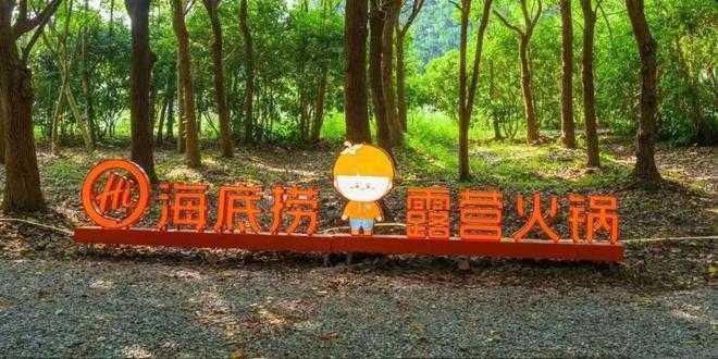 農(nóng)業(yè)銀行：一肖一碼100準嗎800億海底撈老板，突然改組班底