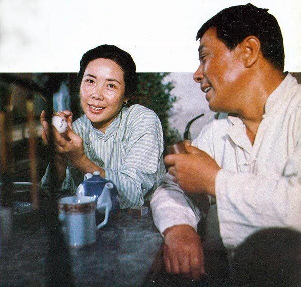 记忆刘心武晚风拂柳笛声残