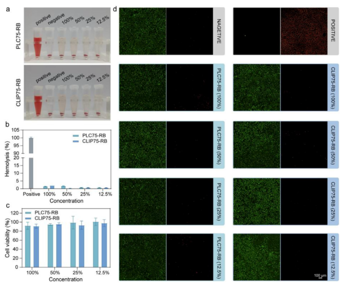 什么是可吸收夹四川大学何斌、成都大学高文霞AM：新型可降解共聚物为高性能组织结扎夹带来革新_https://www.jmylbn.com_新闻资讯_第10张