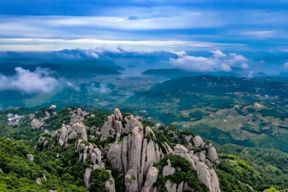 这样的福鼎,09了!