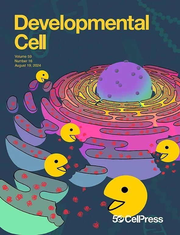2024年8月，哪些研究登上了Cell Press期刊封面？_腾讯新闻