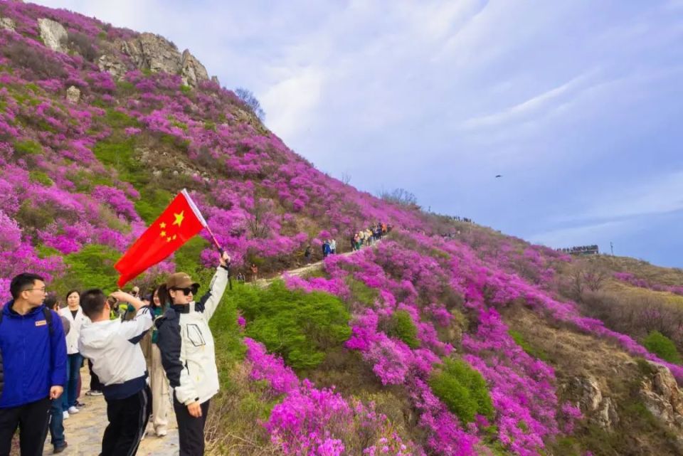 坐标大黑山,醉美杜鹃花海季来啦!