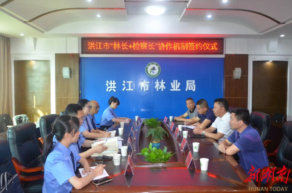 洪江市林长检察长擦亮生态绿