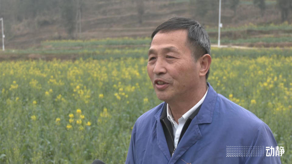 贵州省油菜研究所党委书记杜才富被查：被称“油菜专家”，与油菜打了30多年交道_腾讯新闻