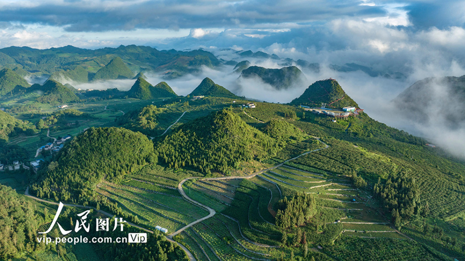 近年来,西畴县大力推进生态文明建设,在石漠化山区建成国家石漠公园