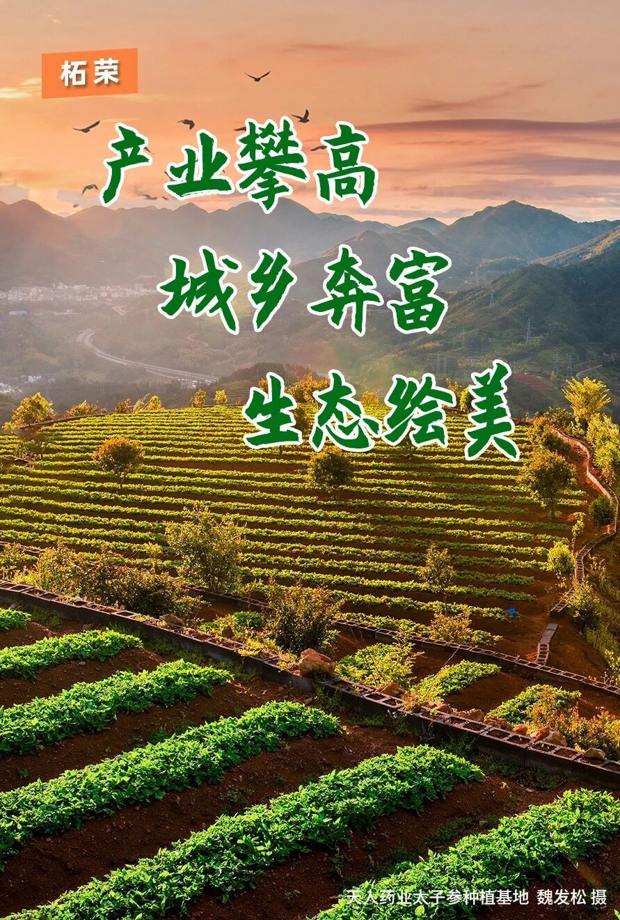 春回大地，万物竞发。早春的柘荣，虽仍有丝丝寒意，但发展的热潮已在这片土地上奔涌。无论是实验室里的创新火花，还是产业园内的机器轰鸣，抑或是校园里的琅琅书声，都共同交织成一幅生机勃勃的高质量发展画卷。回望过去柘荣县紧扣高质量发展主题同心同德续写“柘荣现象”新篇章在产业转型、城乡共富、旅居康养三大领域持续发力交出了一份厚重提气的“成绩单”产业提质在创新发展中实现跨越增长航拍福建广生堂药业股份有限公司 袁