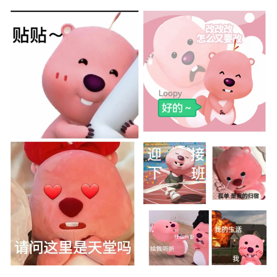 表情包届新"顶流"loopy,现实中却得看河的脸色行事