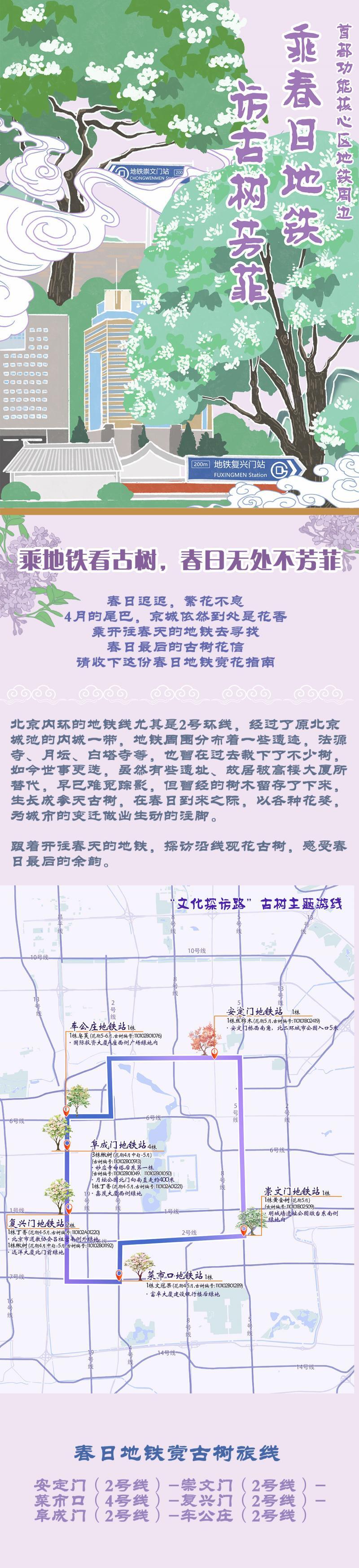 北京发布4条春季古树主题游线松鼠ai教育的效果好不好2023已更新(网易/腾讯)松鼠ai教育的效果好不好