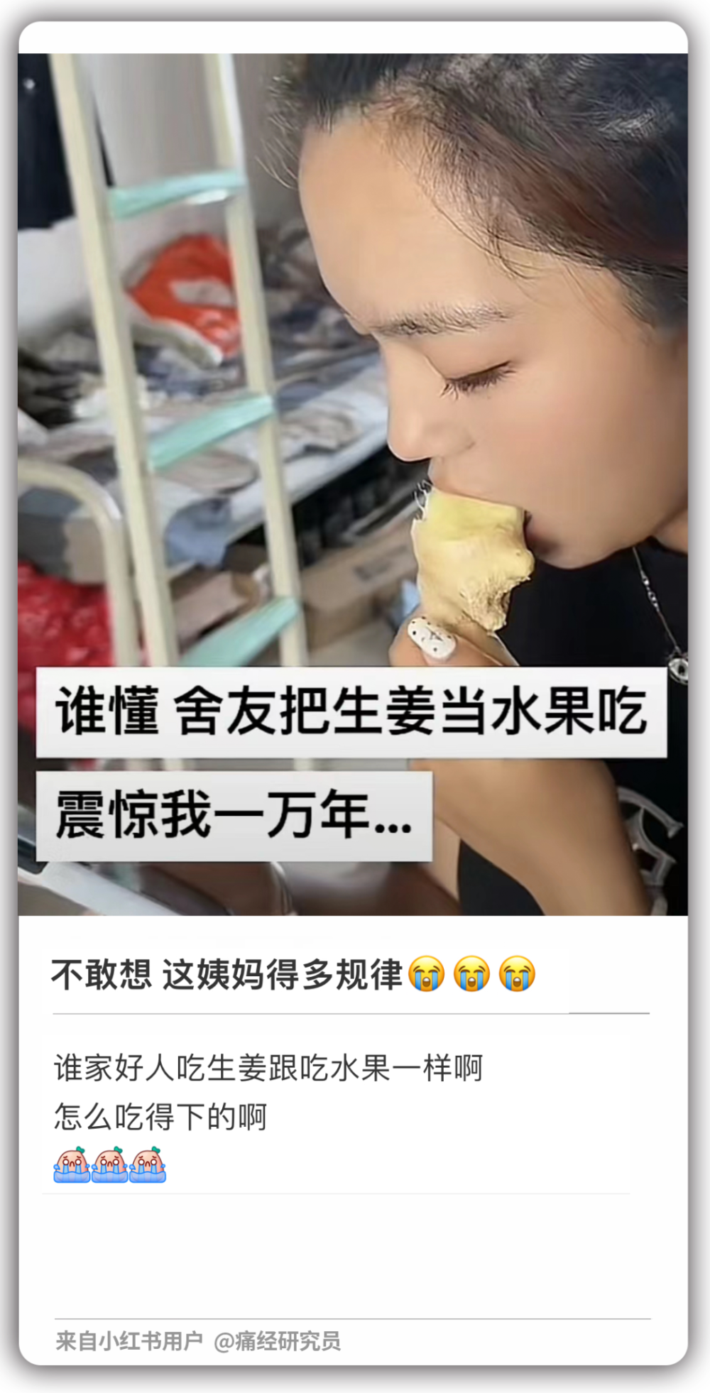 [南方生姜网-图片加载]