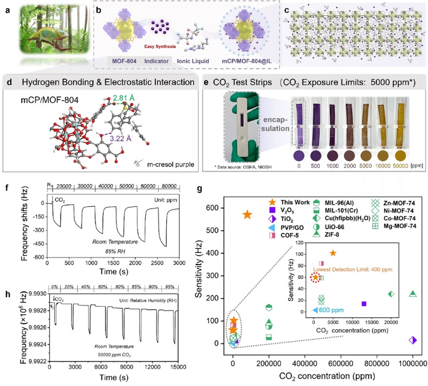 吉林大学张彤、周婷婷 AFM：抗湿度干扰且可视化的QCM二氧化碳气体传感器_腾讯新闻