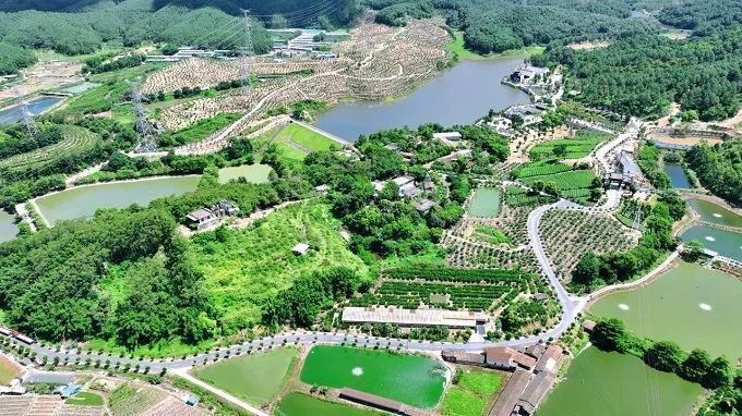 在持续提升城镇承载力,吸引力方面,鹤山坚持把群众事当自家事来办