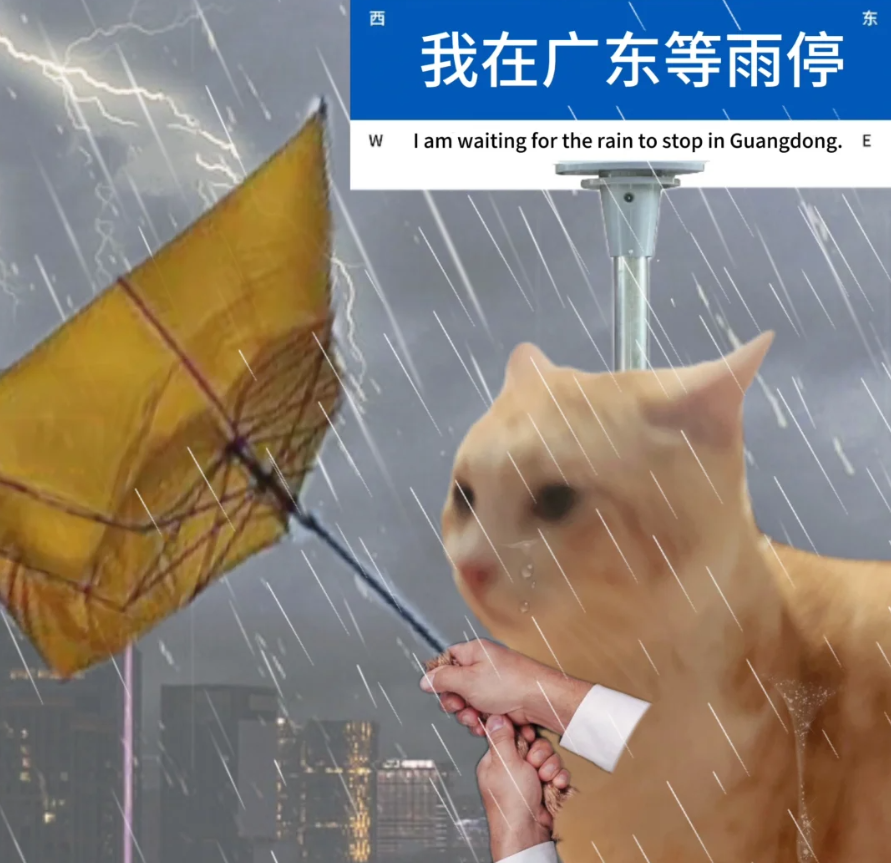 大暴雨 冰雹!广东未来一周天气.