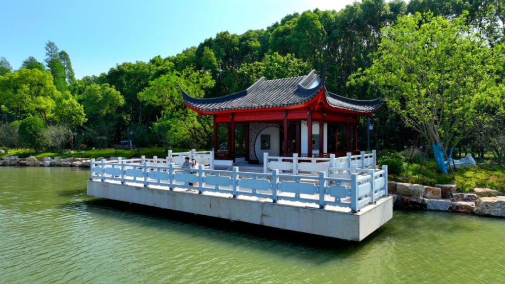 夏日"沪"水游丨青浦:元荡湖畔生活图鉴 美好生活当如是