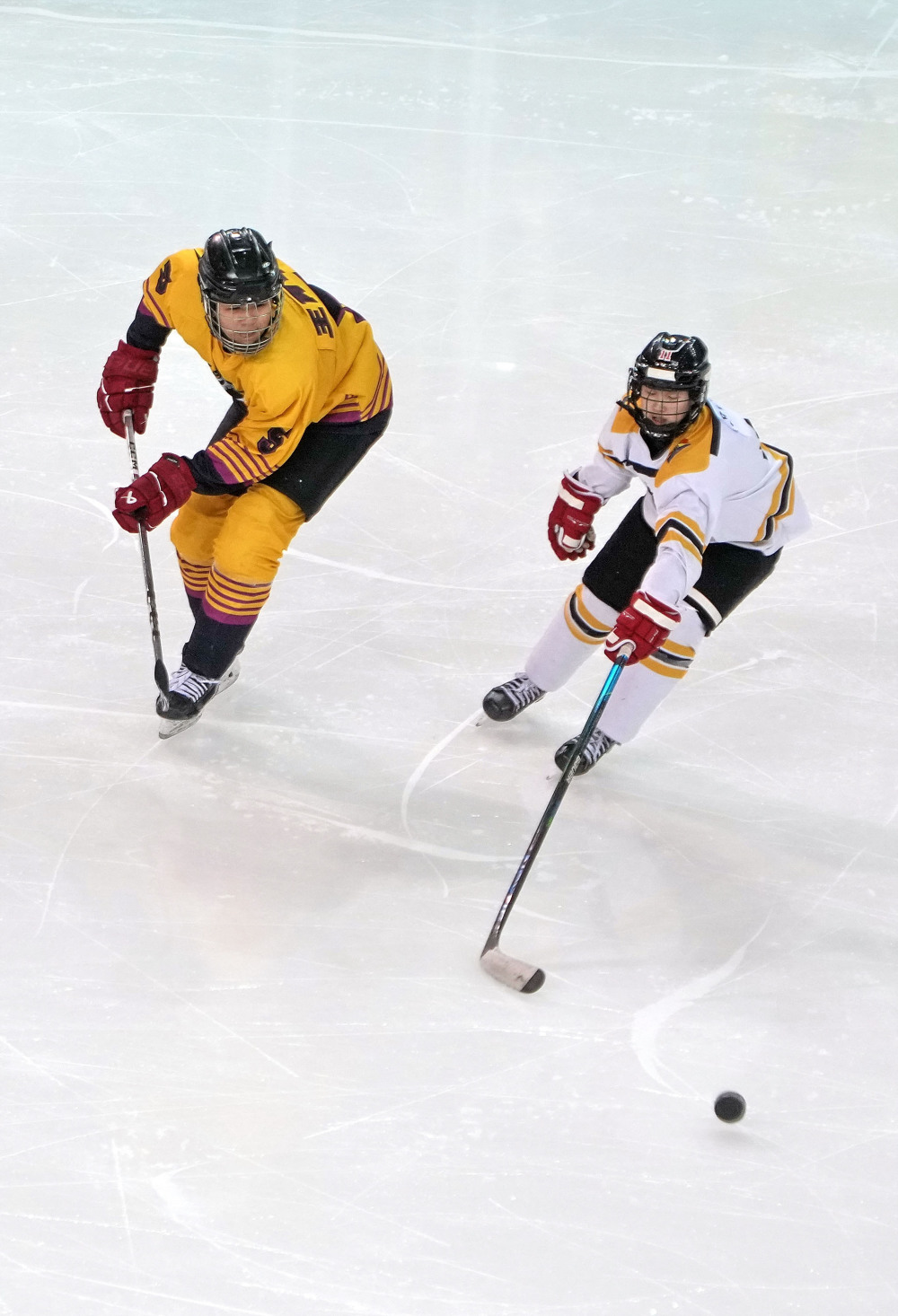 冰球——青年组女子冰球半决赛:四川队胜辽宁队