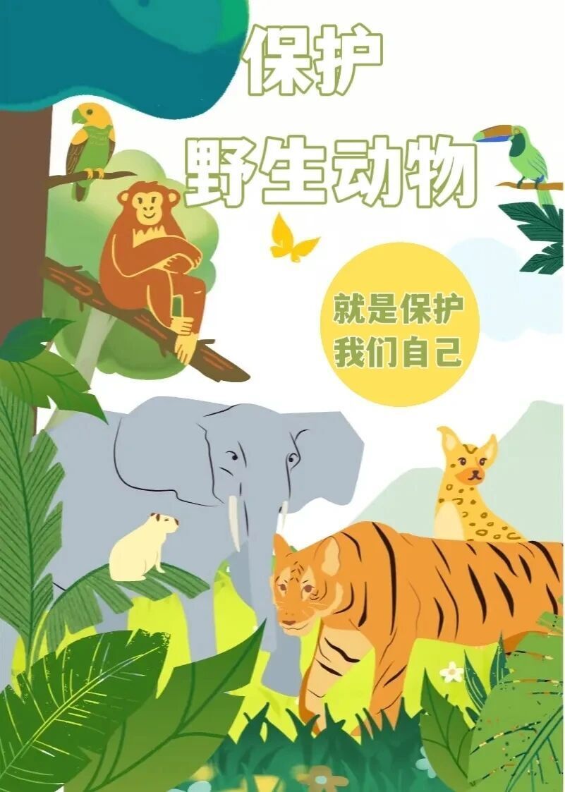 一图读懂《中华人民共和国野生动物保护法》