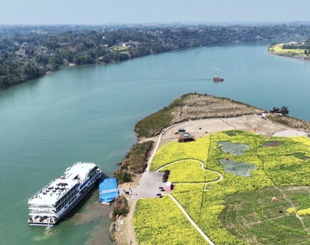 春风来到笔下四川武胜嘉陵江畔6幅大地油彩画杀青