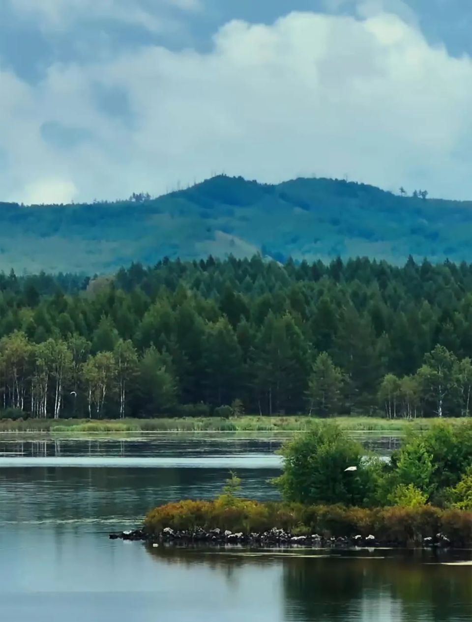 最美公路极致景观发现大使,最强大脑"水哥"王昱珩和"博物君"张辰亮