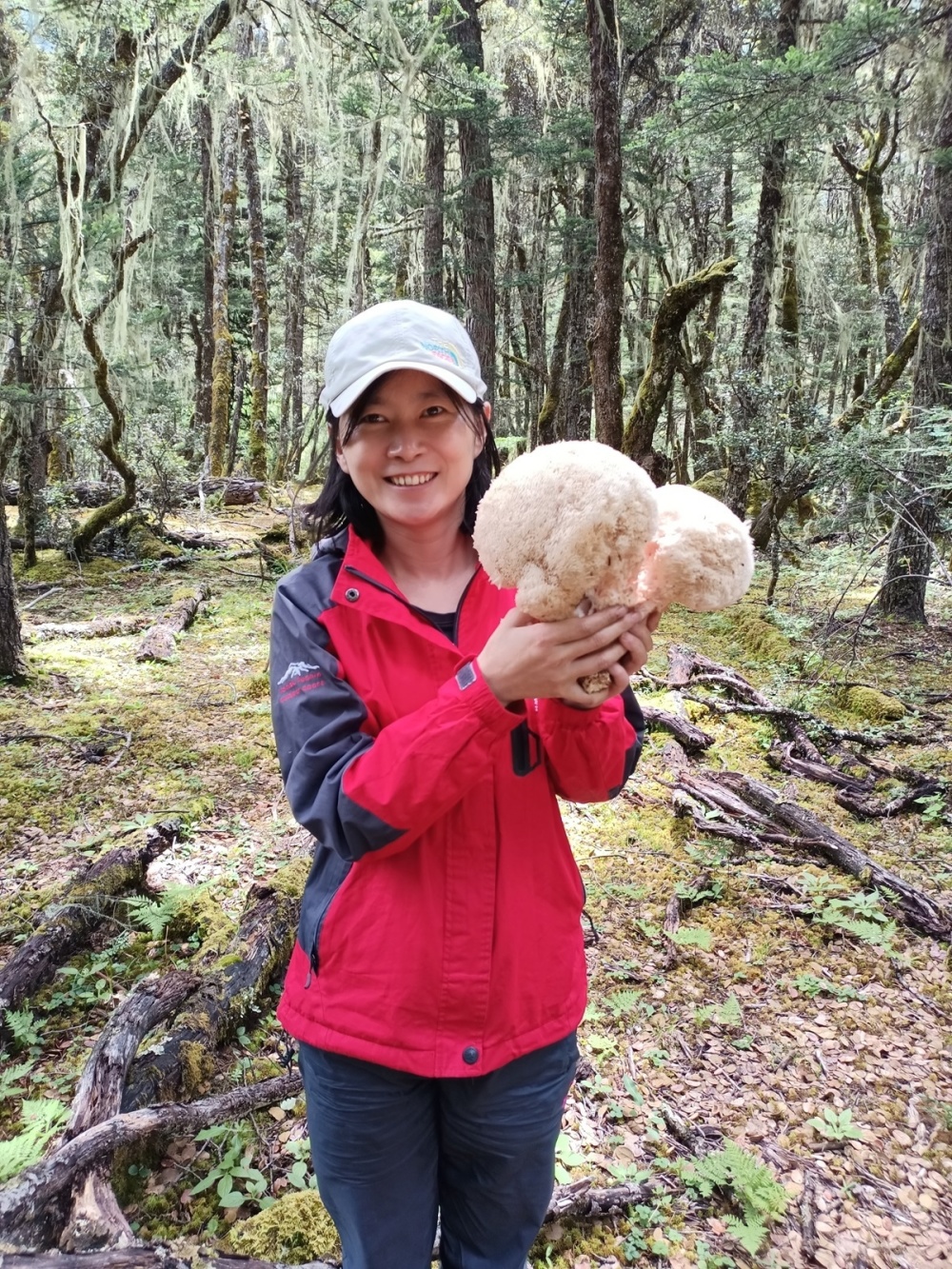 实际上,常见在售的野生菌品种只是四川野生菌的"冰山