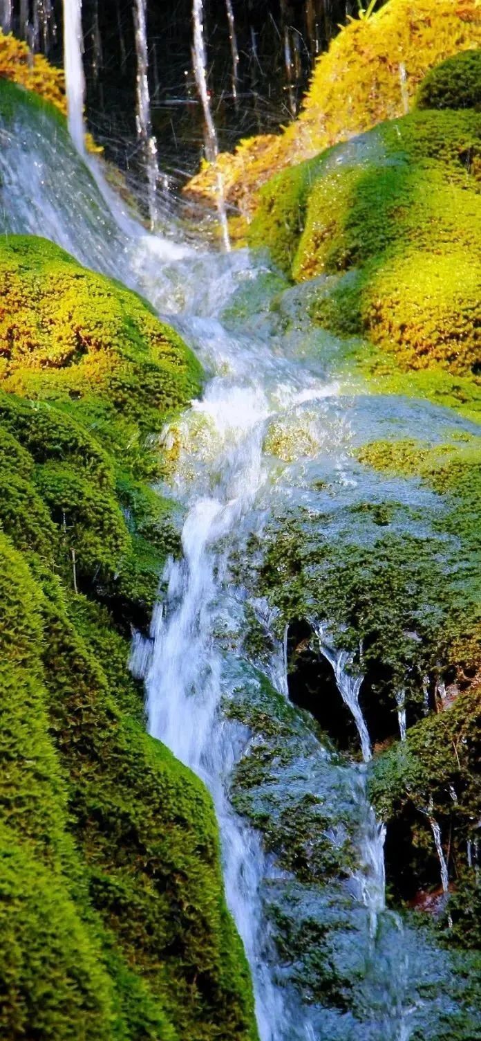 芜湖11处夏日避暑好地方! | 皖美夏日