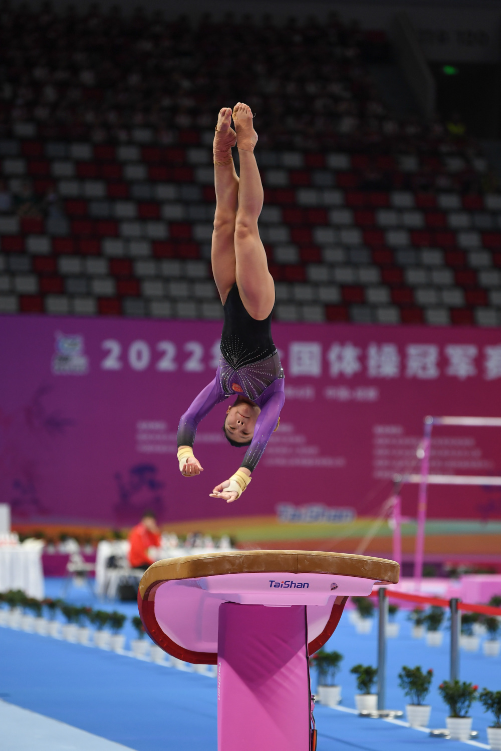 体育体操全国冠军赛女子跳马决赛赛况