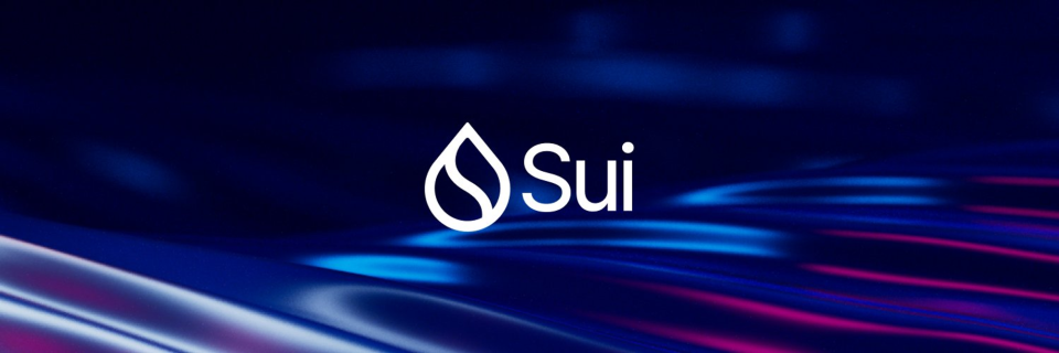 包含sui是哪个国家的缩写_sui的名称来源的词条