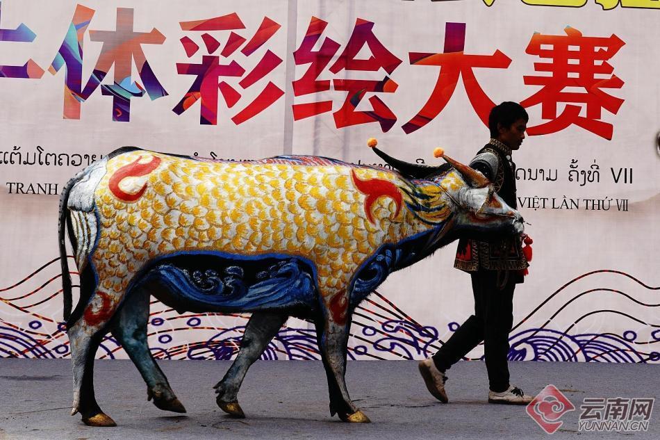 高清組圖江城牛體彩繪獨有的民族文化行走的民間藝術