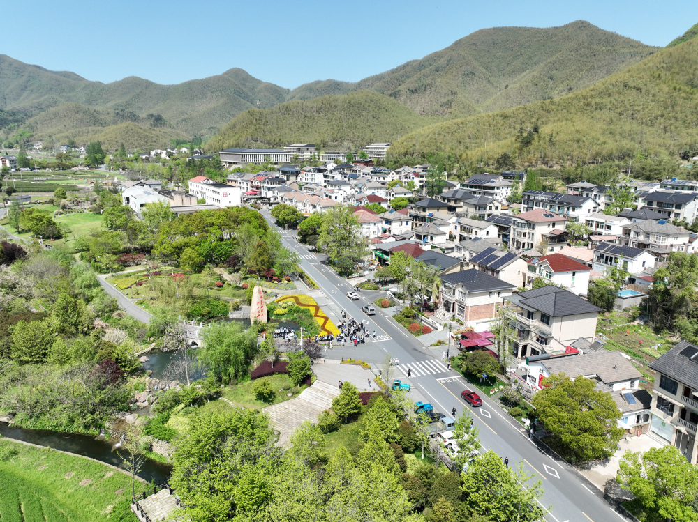 四季中国|春到余村 茶园吐新_腾讯新闻