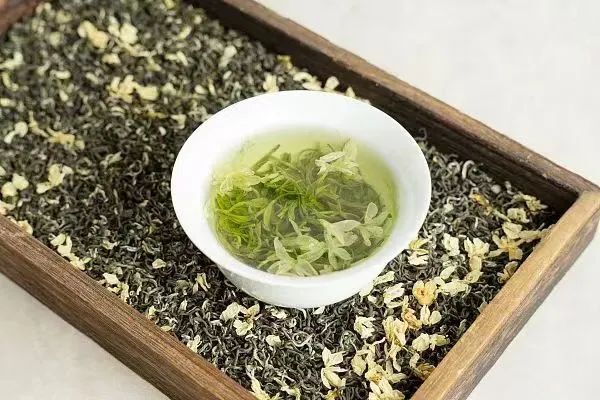 人在草木间,这片神奇的"东方树叶"隐藏着多少奥秘?|非遗新体验