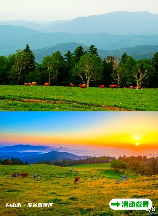 吉林新航线启航,长春直飞阿勒泰!