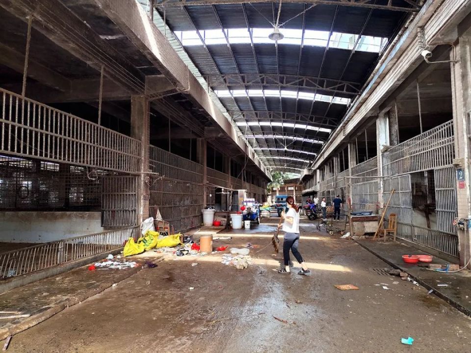 韶关三鸟批发市场搬新址