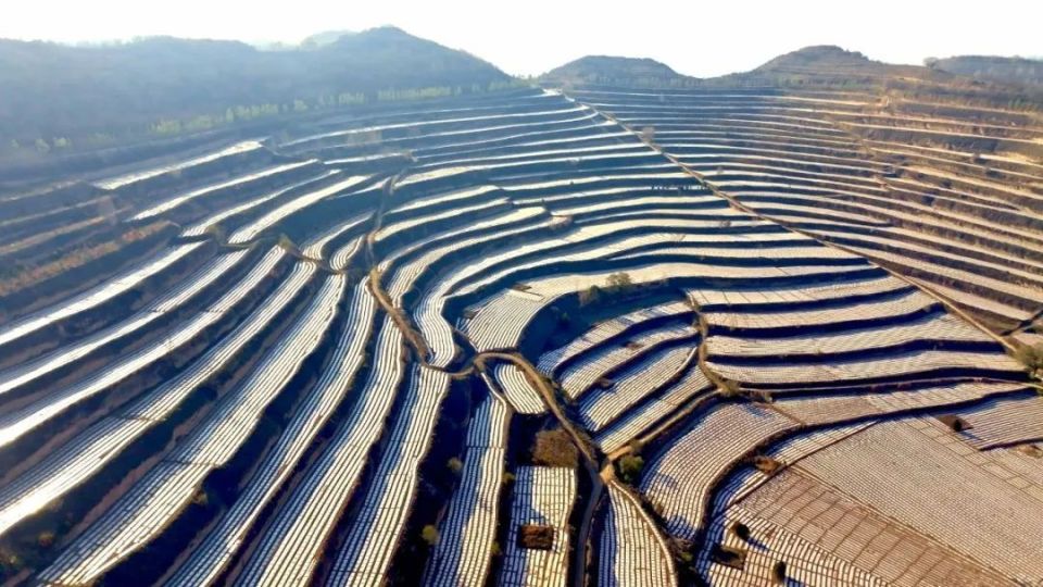 产业"强"起来 日子"火"起来——静宁县灵芝乡推进乡村振兴工作掠影